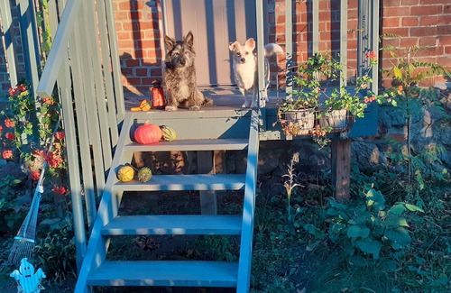 Lebehn Condo | Lake House Lebehn