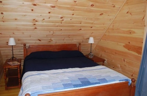 Poyntelle Cabin | Lake House Near Elk Mountain