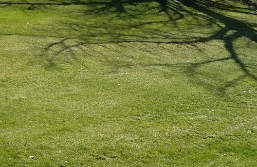 Lonergan House | Lake McConaughy home, One King, Three Queen size beds, Dish TV, and WIFI.