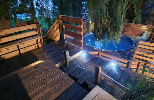 Okanagan-Similkameen House | Lake views, backyard oasis, minute from beach, private, late-century modern home