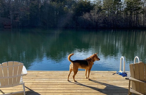 My Mountain Cabin | LAKEFRONT 3BR, PET FRIENDLY, HOT TUB, FIREPIT, OUTDOOR BAR, DOCKS, FISHING. FUN!