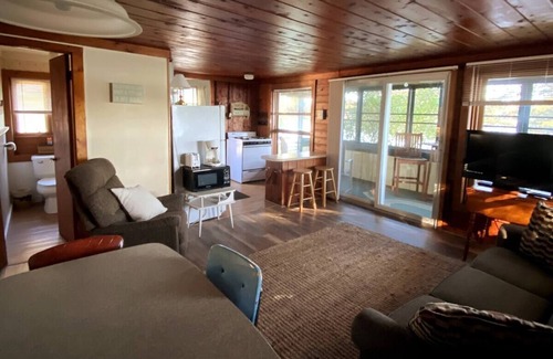 Bellaire Cabin | Lakefront Cabin - Northaire Resort Cabin 2