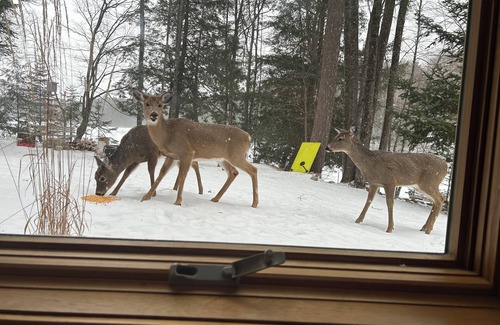 Sayner House | Lakefront Home - Family Vacations, Ice Fishing, Snowmobiling