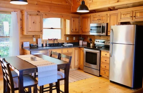 Ellijay Cabin | Lakefront Oasis In the Mountains