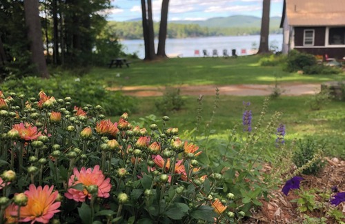 Gilmanton IW Cottage | Lakeside Cottage 2 bedrooms/full bath & kitchen/Great Swimming!