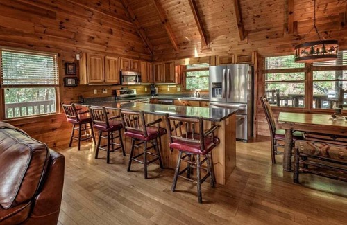Necowa Cove Cabin | Lakeview Lodge- Pet Friendly | Mtn and Lake Views | Pool Table