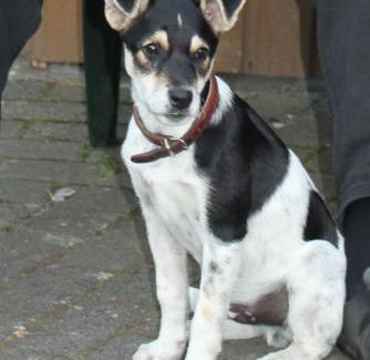 Dedelstorf Hotel | Land gut Hotel Dierks