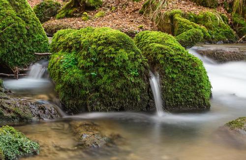 Boppard House | Landgasthof Hieren Mühle
