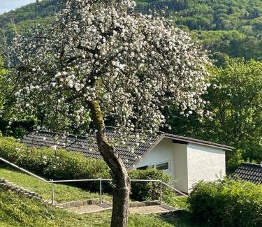 Biersdorf am See House | Landhaus am See 934
