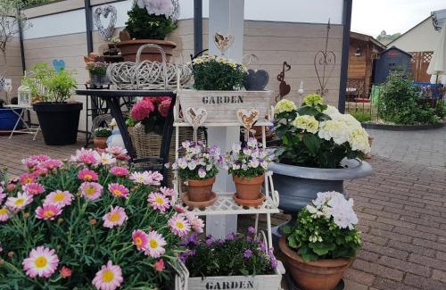 Kobern-Gondorf House | Landhaus Julia