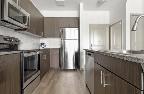 Paw Creek Apartment | Landing at Celsius - 1 Bedroom in Wedgewood