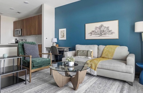 Buda Apartment | Landing | Beautiful 1BD in Brooks Crossing