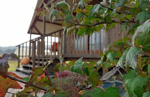 Corinaldo House | Lands of the Tent Plan