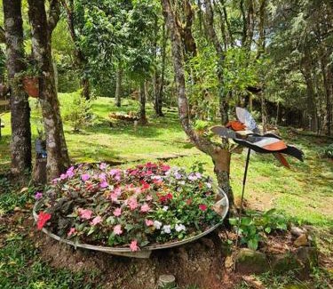 Monte Verde House | Lareira forno e fogao a lenha nas montanhas