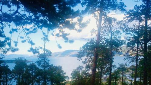 Alta Apartment | Large and great loft in scenic surroundings