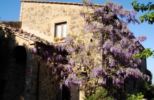 Castellina in Chianti House | Large Chianti Estate, Tuscany weddings, retreats, celebrations, workshops