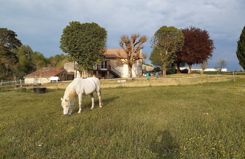 Saint-Genis-de-Saintonge House | Large freestone house surrounded by large green spaces