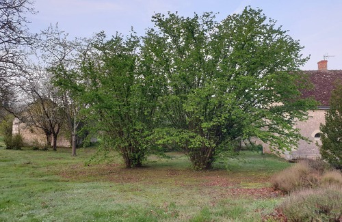 Saint-Romain-sur-Cher House | 🍇Large house, near Loire castles and Beauval zoo🍇