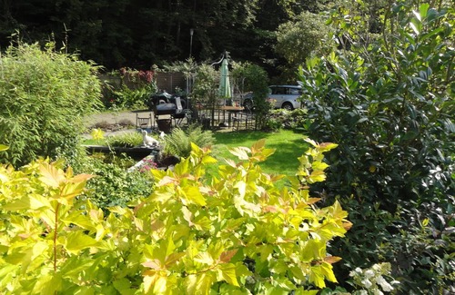 Usseln Apartment | large non-smoking apartment, quiet location but close to town, quad rental at the house