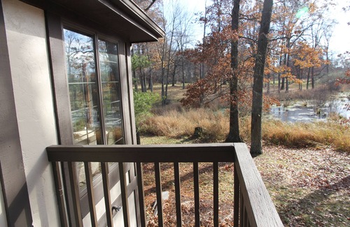 Shaftsburg House | Large, Private & Modern 12 acre estate w/Hi-speed Internet