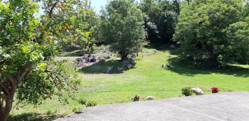 Llamigo House | LAS ATAZADAS