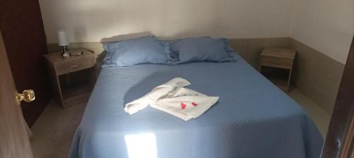 Vallenar Ski Chalet | Las Cabañas del Francés