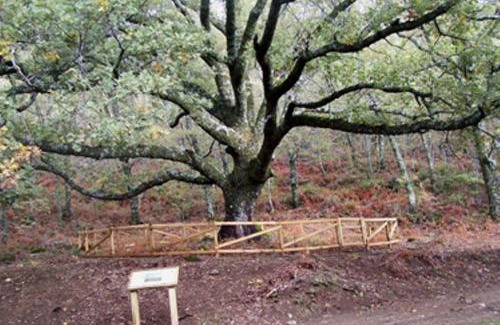 Barrado House | Las Calabazas