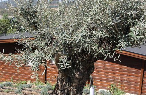 Robledo de Chavela Ski Chalet | Las Lavandas