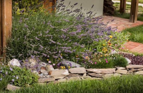 El Chalten Apartment | Latitud 49 Apart