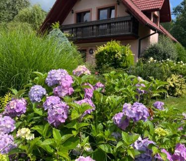 Brenna House | LAWENDOWA PRZYSTAŃ - dom nad rzeką - Brenna, 10 osób, ogród, plac zabaw