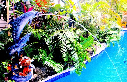 Old Town House | Lazy River Pool, Enchanting Garden, Old Town Key West, Free WiFi, Bikes & Parkin