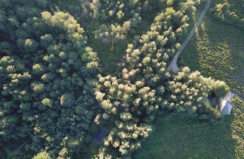 Chmielno Apartment | Leśny Apartament - Shuuumi Las