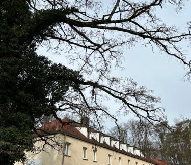 Barlinek Bed & Breakfast | Leśny Dom