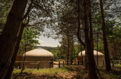 Tropie Other | Leśny krąg