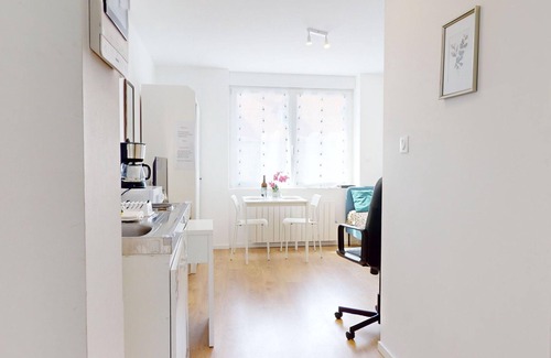 Quartier Saint-Leon Apartment | Le Charme Colmarien