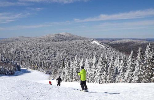 Brebeuf House | Le Chickadee Chalet, Near Mont-Tremblant, River & Beach View, Wooded Area