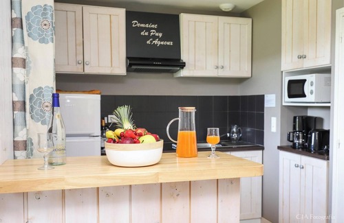 Meyrignac-l'Eglise Ski Chalet | Le Dom des Monédières Ch 3P6M