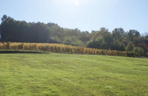 Castillon - Pujols Intercommunalite Villa | Le Domaine de Vert-bois, gîte 4*