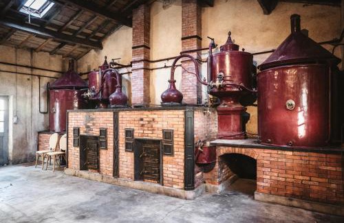 Mareuil Bed & Breakfast | Le Domaine des Tilleuls