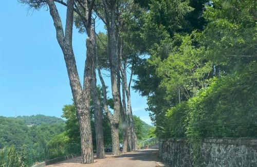 Aulla Apartment | Le Foglie di Lubo