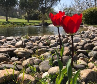 Saint-Leon House | Le Hameau des Coquelicots