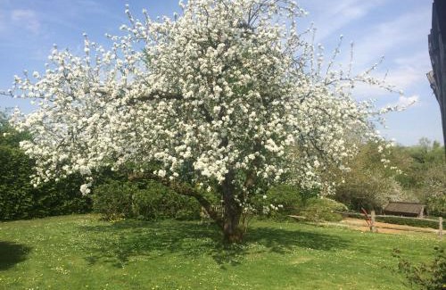 La Hulpe Bed & Breakfast | Le Jardin Des Sources