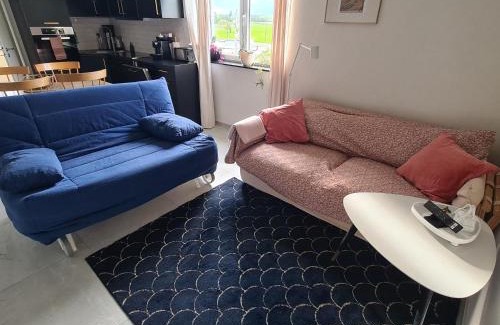 Village-Neuf Apartment | Le Loft de Village-Neuf - Résidence 4 étoiles