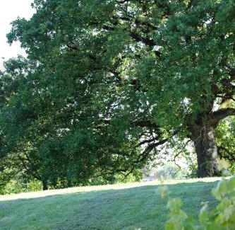 Balma Bed & Breakfast | Le Manoir Saint Clair