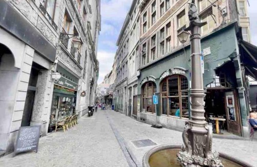 Outremeuse Apartment | Le Neuvice - Place du marché, Quais, Bueren