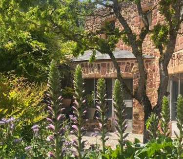 Collonges-la-Rouge Bed & Breakfast | Le palmier d'Alice