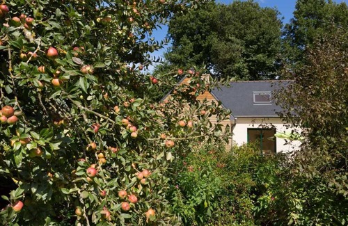 Langoat House | Le Petit Moulin - Langoat