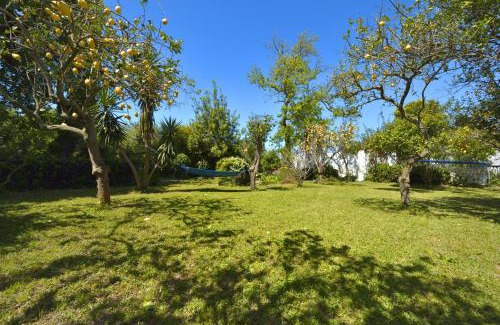 Procida House | Le Querce