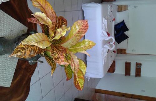 Grand Anse House | Le Relax St. Joseph Guest House