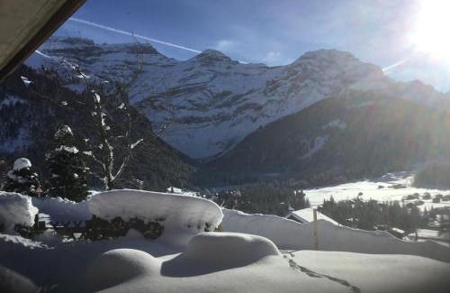 Ormont-Dessus Apartment | Le Sapin